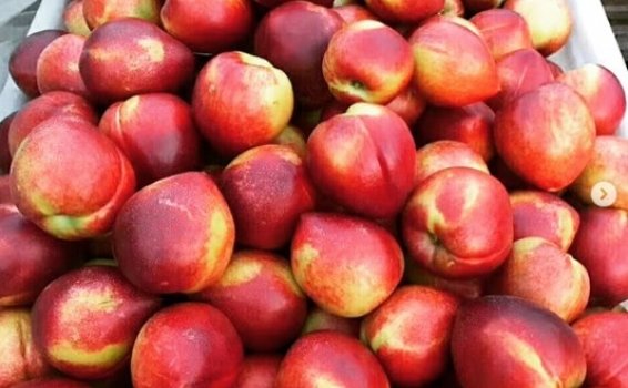 Доставка грузов и товаров из Китая во Владимир