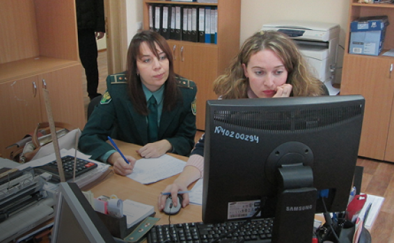 Таможня