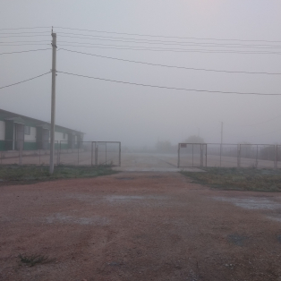 Таможенный декларант: понятие, права, обязанности и ответственность.