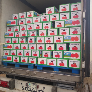 Доставка и таможенное оформление свежих овощей из Китая.