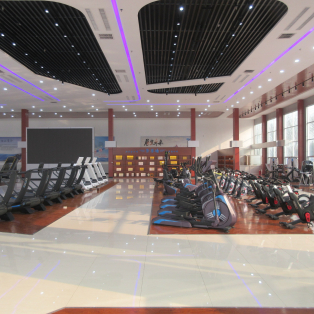 Тренажеры и оборудование для фитнеса из Китая