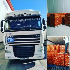 <p>Набирает обороты мандариновый сезон, начались регулярные отгрузки. Актуальная цена на Новосибирск 70 руб/кг</p>
