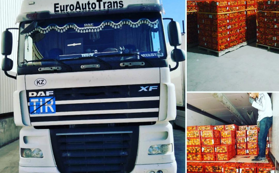 Набирает обороты мандариновый сезон, начались регу...