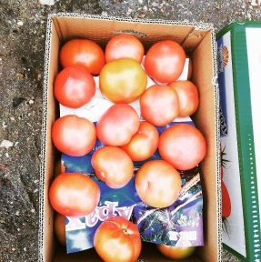 <p>&laquo;Помидор сладкий, как первая любовь&hellip;.&raquo; (заимствованный рекламный слоган) Сегодня очередная партия томата на нашем СВХ, отрабатываем процедуры. Если Ваша Компания имеет потребность в регулярных поставках партий овощей из Китая, пришлите нам Заявку на коммерческое предложение. Если Ваша Компания &ndash; логистический оператор, специализирующийся на доставке скоропорта (и нетолько), запросите КП на услуги СВХ, логистику, брокерские услуги.</p>
