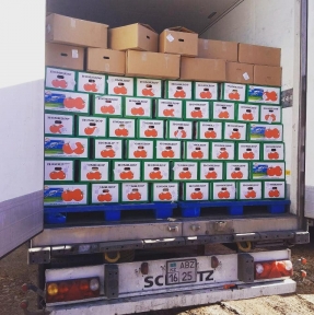 <p>Новости нашей постоянной рубрики &laquo;скоропорт&raquo;. Сегодня на СВХ зашли два транспортных средства с дарами огородов Поднебесной: &laquo;овощ вкусный и красивый&raquo; - баклажан и помидоры.</p>
