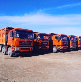 <p>Сегодня разместили на нашем СВХ для процедуры таможенного оформления партию самосвалов SHACMAN.</p>
