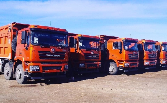 Сегодня разместили на нашем СВХ для процедуры тамо...