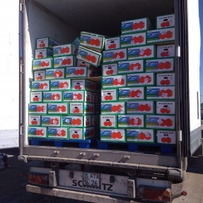 <p>Вчера у Отдела таможенного оформления ГК &laquo;СибирьТрансАзия&raquo; было много работы: помимо таможенного декларирования партий, размещенных на СВХ, отработали процедуры по двум транспортным средствам со скоропортом и автобусам Golden Dragon. Мы специалисты по таможенному декларированию. Глубоко и детально понимаем процедуры, классификацию, документооборот, требования таможенных органов, последовательность действий. Мы гарантируем Ваш бизнес от рисков, связанных с импортом товаров.</p>
