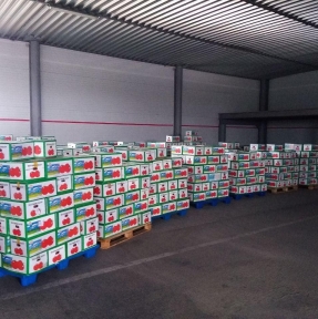 <p>В субботу, 15.06, отработали стопроцентный досмотр на партию помидоров. Нарушений, несоответствий, неточностей &ndash; не выявлено.</p>
