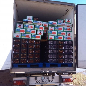 <p>Подали декларацию на очередную партию &laquo;скоропорта&raquo;. Крайне свежие томат и нектарин. # импортизкитая</p>
