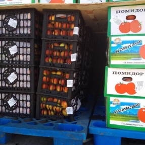 <p>А присмотритесь, как хорош нектарин! Рыжевато-красно-золотой: корпоративные цвета начала осени &ndash; апогея природной фертильности. Ну, а томат&hellip;ему каждый рад. Подана декларация на очередную партию &laquo;скоропорта&raquo;. Задача &ndash; выпуск сегодня. Решаем. Работаете с импортом &laquo;скоропорта&raquo; из Китая? Проконсультируйтесь с нами. Мы не просто знаем, что важно для успеха в этом бизнесе. Мы отвечаем всем потребностям.</p>
