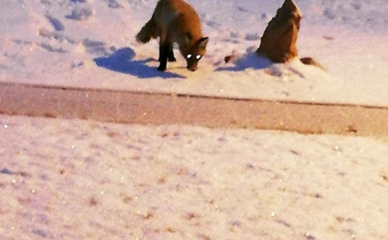 Наш СВХ расположен в живописном месте &ndash; село...