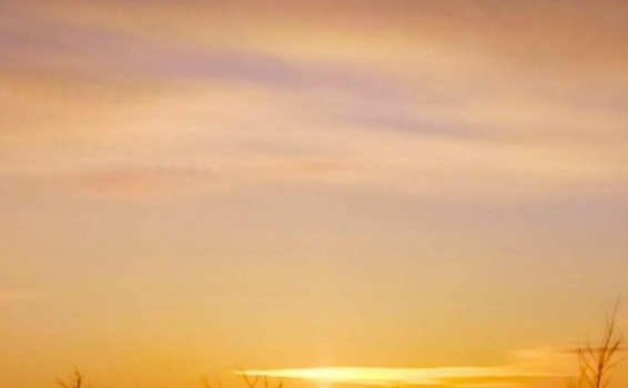 Всех с началом рабочей недели! И, чтобы была она п...