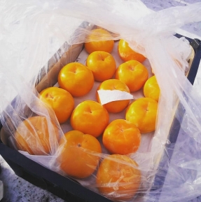 <p>Дамы и господа, всех с началом рабочей недели! Сегодня на наш СВХ в РФ поступило очередное транспортное средство с товарной партией, вышедшей с перехода в субботу &ndash; 01.02. По состоянию на сегодня, авто переход Тачэн &ndash; Бахты, на котором Группа Компаний STA &laquo;СибирьТрансАзия&raquo; осуществляет доставку сборных и генеральных грузов, открыт и работает в штатном режиме.</p>
