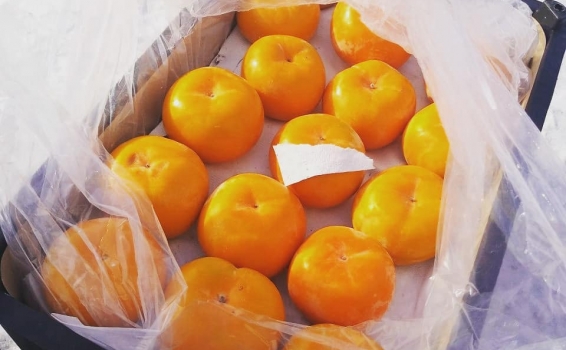 Дамы и господа, всех с началом рабочей недели! Сег...