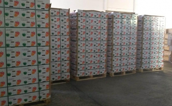 Очередная партия свежего сладкого перца. На нашем ...