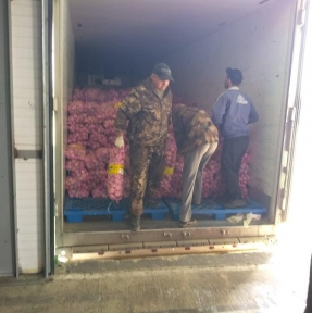 <p>На очередную партию чеснока была назначена процедура досмотра, которую мы быстро и качественно отработали на нашем СВХ. Ждем акта. Закупаете оптовые партии скоропорта в Китае? Обязательно получите коммерческое предложение ГК STA &laquo;СибирьТрансАзия&raquo;: лучшие условия и экспертный таможенный сервис на маршруте.</p>
