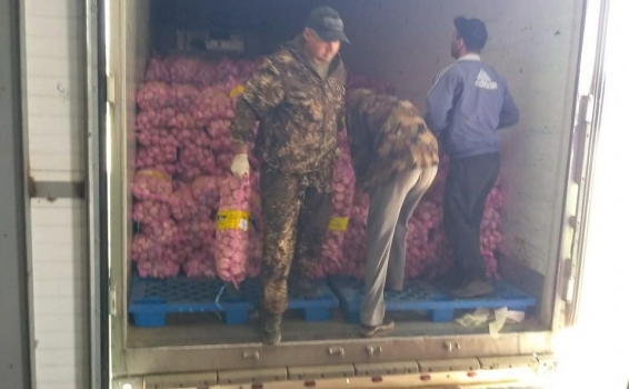 На очередную партию чеснока была назначена процеду...