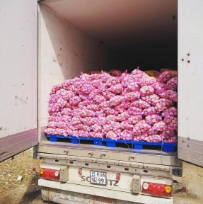 <p>&laquo;Ешь чеснок и лук &mdash; не возьмёт недуг&raquo; Оформляем чеснок! Подали декларацию на очередную товарную партию. Мы даем Вам экспертный таможенный сервис и лучшие условия на маршруте. Закупаете овощи в Китае? Обязательно получите наше коммерческое предложение. Вам понравится работать с нами.</p>
