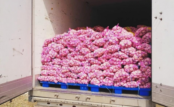 &laquo;Ешь чеснок и лук &mdash; не возьмёт недуг&r...