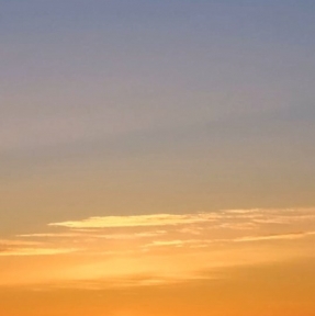 <p>Весна всегда прекрасна, богата красками, живописна. Но, особенно хороша она в Алтайском крае! ГК STA &laquo;СибирьТрансАзия&raquo; поздравляет всех с праздником Весны и труда.</p>
