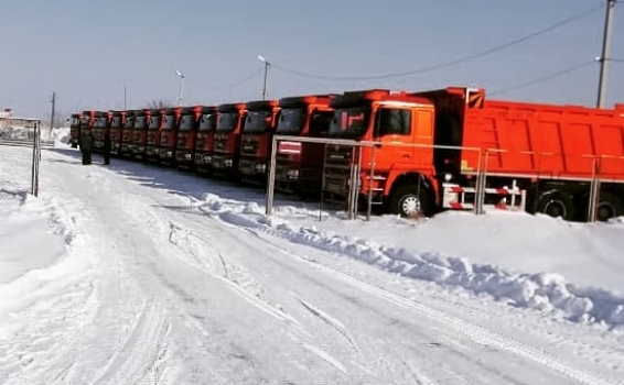 На нашем СВХ разместилась очередная партия красавц...