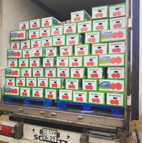 <p>На оформлении очередная партия томата. ГК STA &laquo;СибирьТрансАзия&raquo; оказывает профессиональные услуги высокого качества по доставке и таможенному оформлению овощей и фруктов из Китая. Работаете с этой товарной группой? Обязательно получите наше коммерческое предложение и консультацию по условиям и возможностям сотрудничества.</p>
