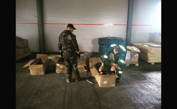 Определение понятия &laquo;легкий досмотр&raquo; в...