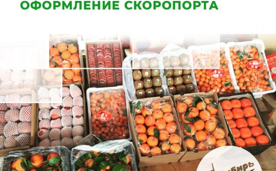 Отдельным направлением в нашей профессиональной де...