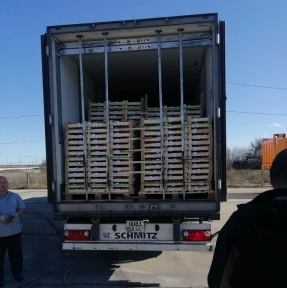 <p>У Вас хурма? Оформим! ГК STA &laquo;СибирьТрансАзия&raquo;: услуги СВХ и лучший таможенный сервис на маршруте.</p>
