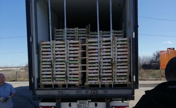 У Вас хурма? Оформим! ГК STA &laquo;СибирьТрансАзи...