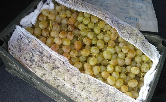 Ударными темпами оформляем на нашем СВХ партии вин...