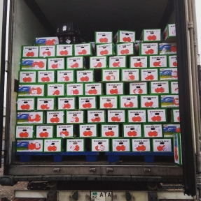 <p>Ну, и, наконец, Помидор &ndash; красавец И баклажан &ndash; молодец! Мы делаем максимально качественный таможенный сервис для импортеров скоропорта. Начались сезонные поставки. Встречайте свежие овощи и фрукты в торговых сетях страны.</p>
