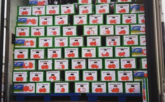 Ну, и, наконец, Помидор &ndash; красавец И баклажа...