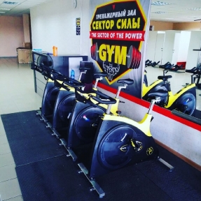 <p>Сайклы, который мы привезли для @sektorsily_nsk, уже готовы включиться в структуру тренировок целеустремленных посетителей клуба.</p>
