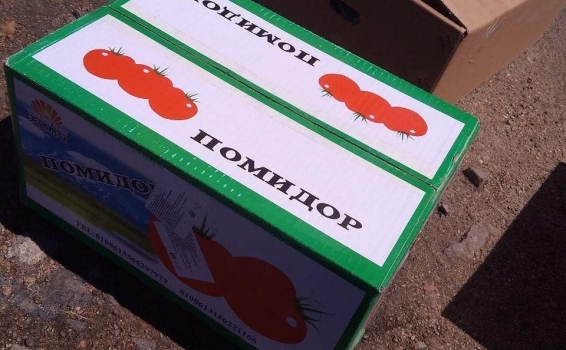 &laquo;Не забудь полить помидоры&hellip;&raquo; (с...