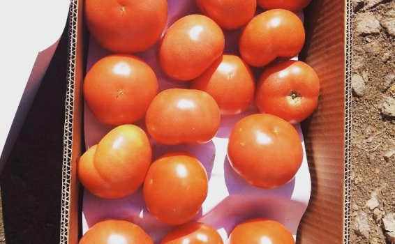 Дамы и господа, с началом рабочей недели! На наш С...